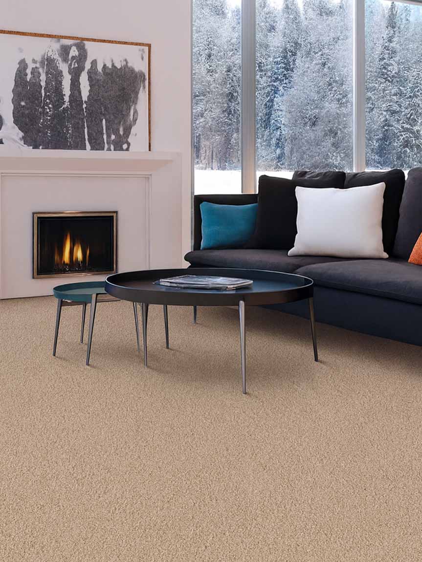 Living Room and Fireplace Room Scene